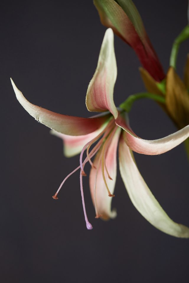 Faux Amaryllis Stem #1