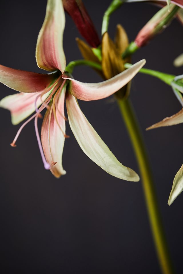 Faux Amaryllis Stem #2