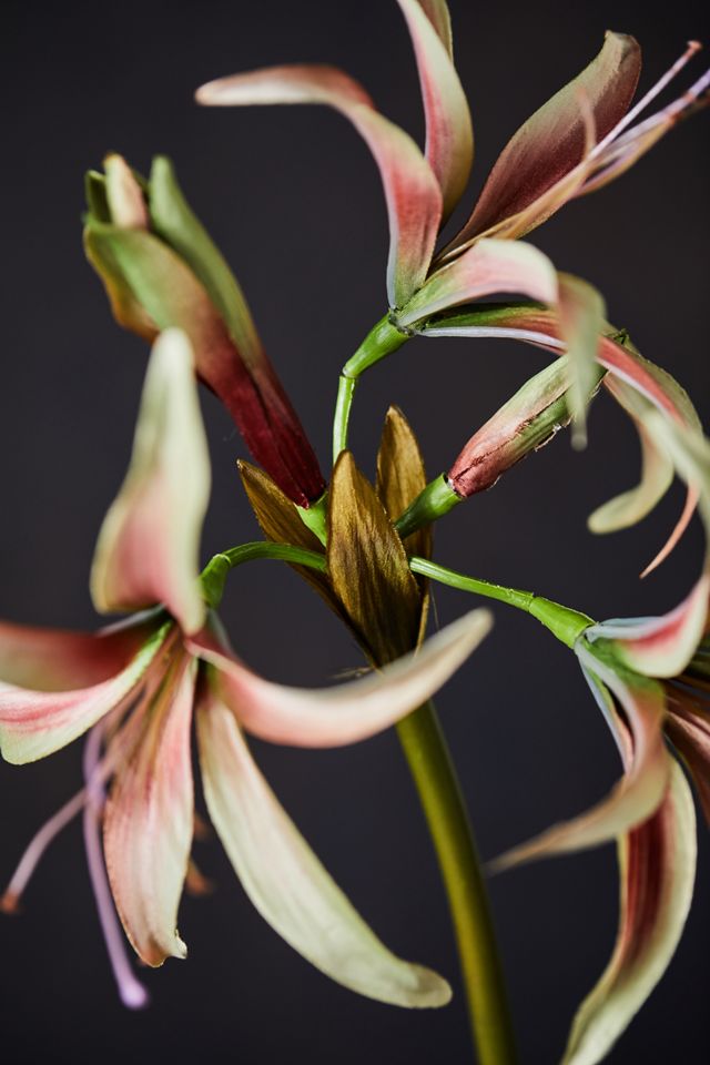 Faux Amaryllis Stem #4