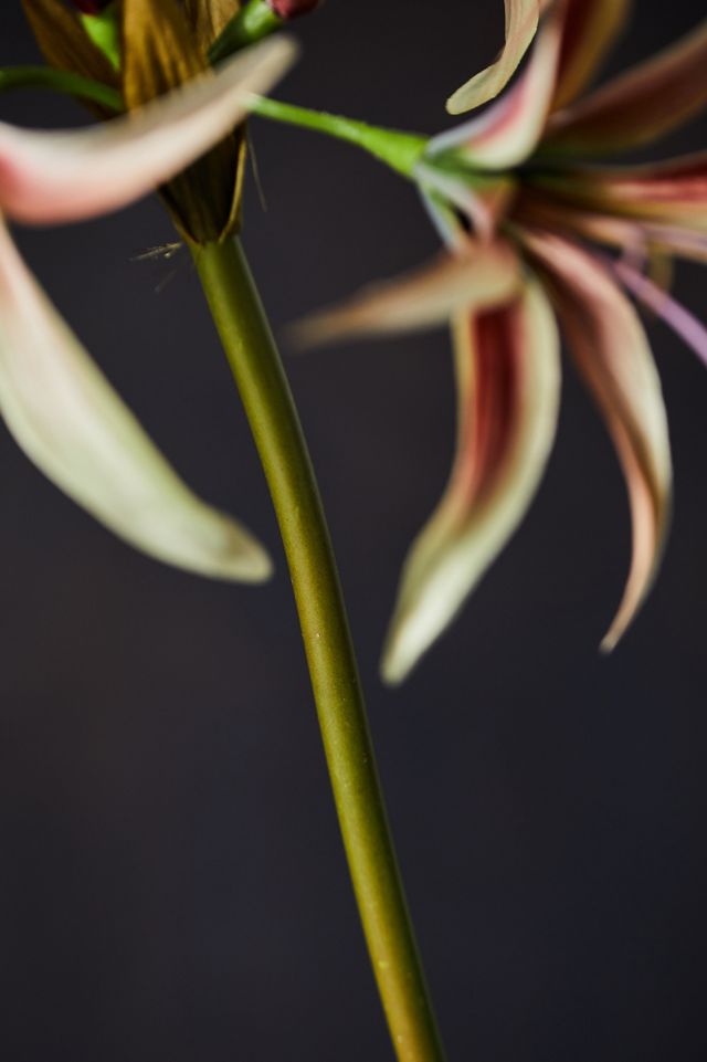 Faux Amaryllis Stem #5