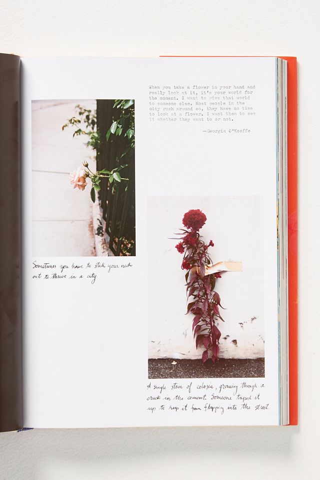 On Flowers #1
