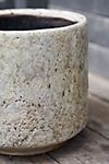 Textured Cylinder Ceramic Pot #7