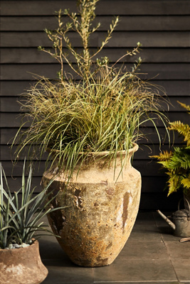 Terrain Barnacle Shelf Edge Planter