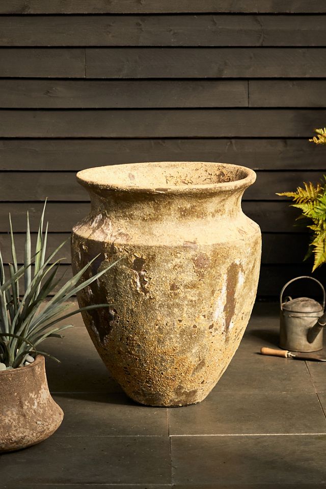 Barnacle Skorpio Planter #1