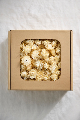 Terrain Preserved Strawflower Scatter