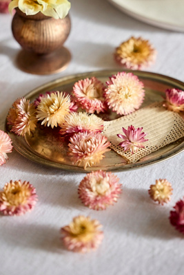 Terrain Preserved Strawflower Scatter