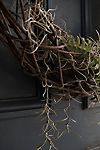 Woven Vine Wreath #3