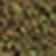 Moss