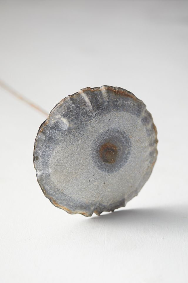 Mushroom Iron Stem #1