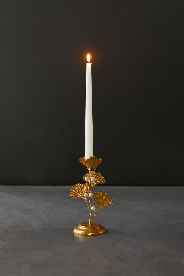 Ginkgo Candlestick #1