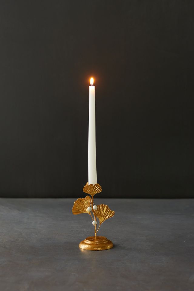 Ginkgo Candlestick #3