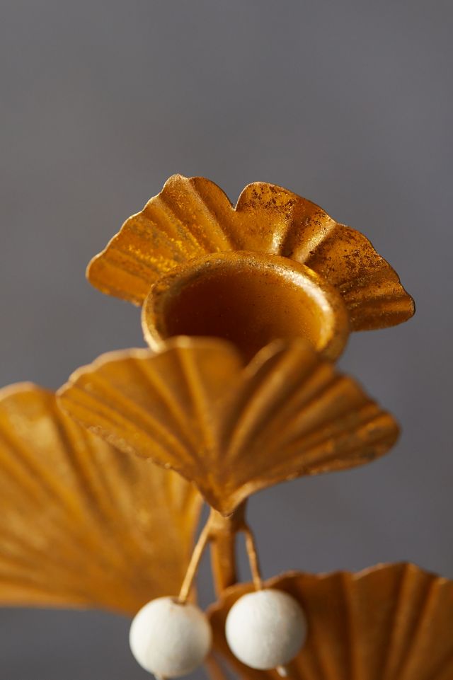 Ginkgo Candlestick #7