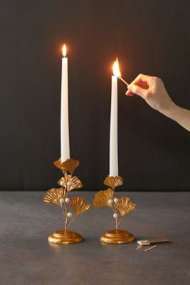 Ginkgo Candlestick