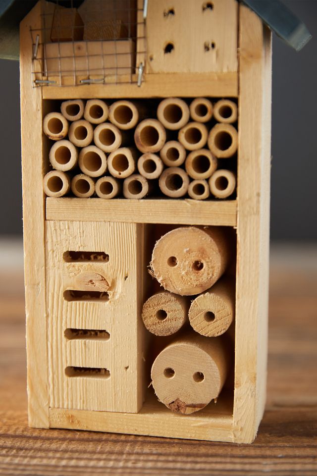 Bug Hotel #3