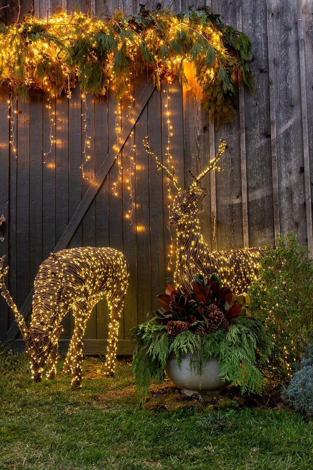 Stargazer Twinkling Cascade Falls #3