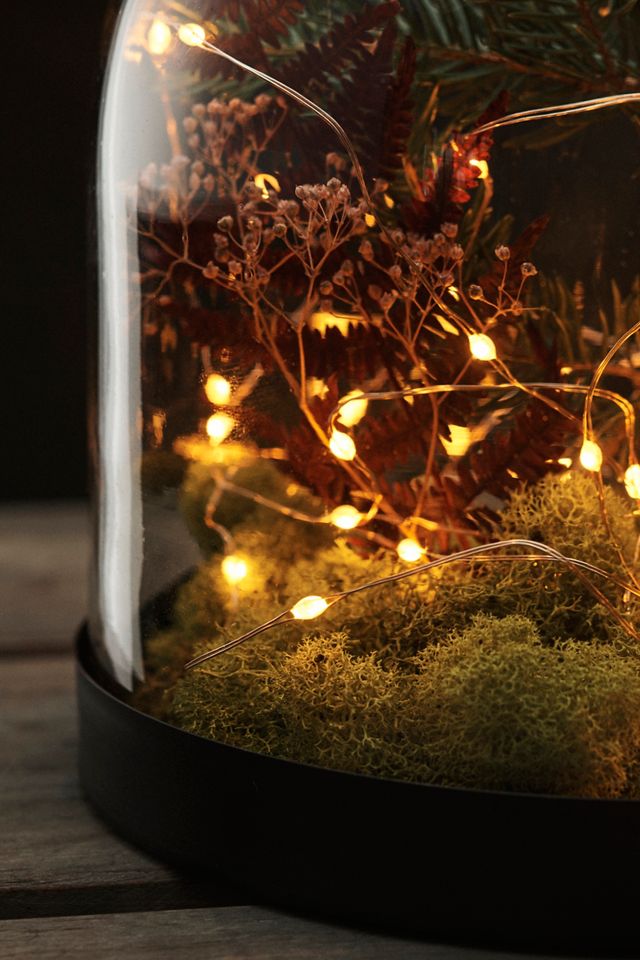 Stargazer Twinkling Rose Gold Twine Lights #1