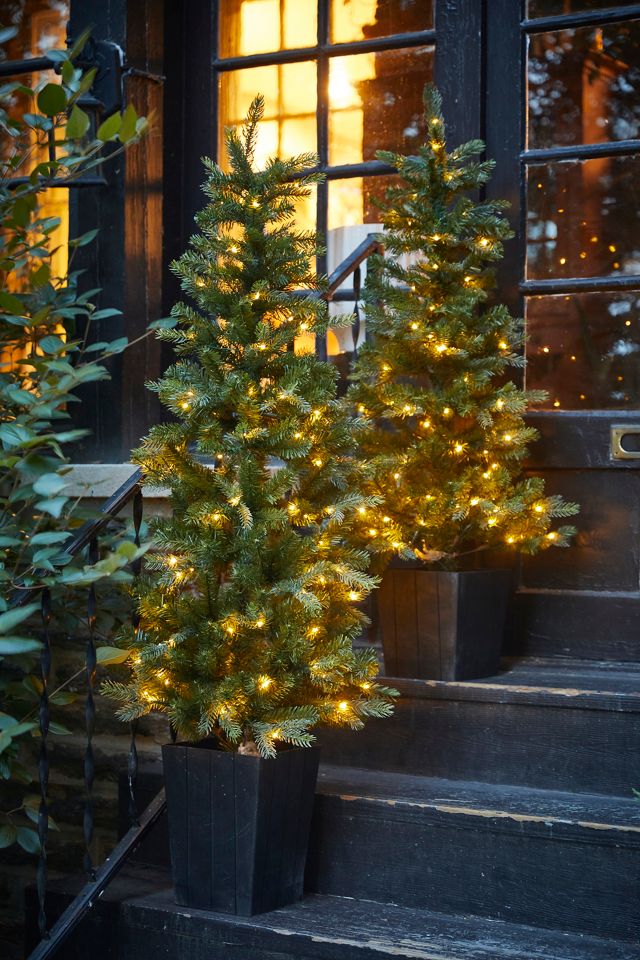 Faux Pre-lit LED Potted Idaho Tree | AnthroLiving