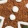 BROWN MOTIF