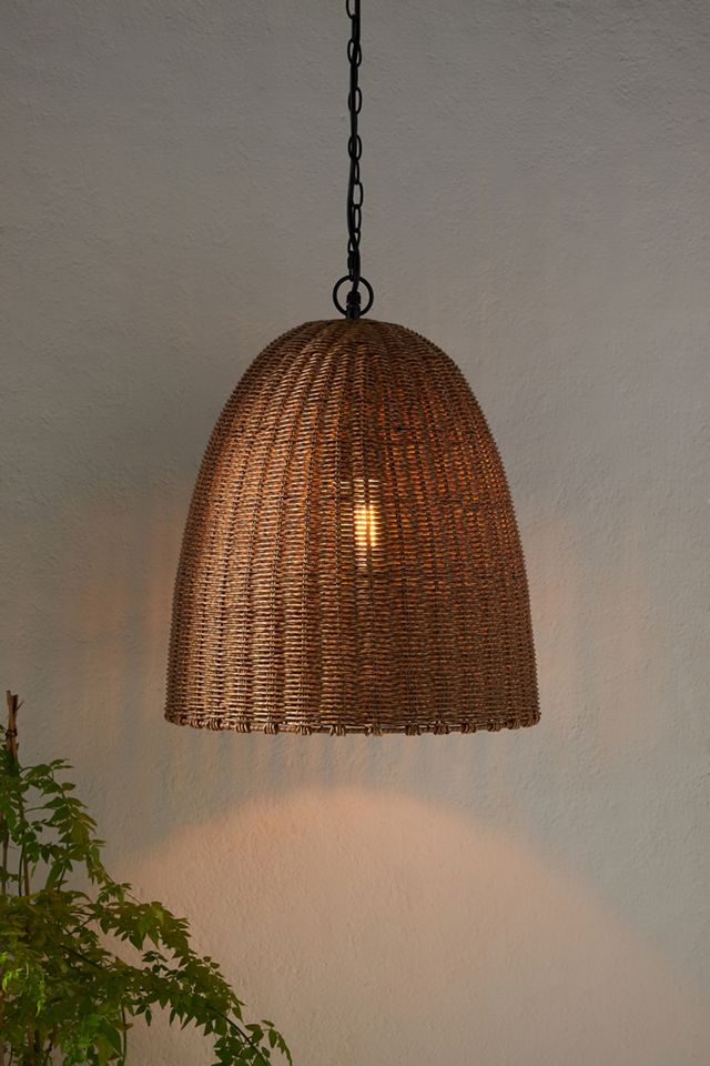 Beehive Indoor/Outdoor Pendant #2