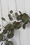 Iron Eucalyptus Wreath #3