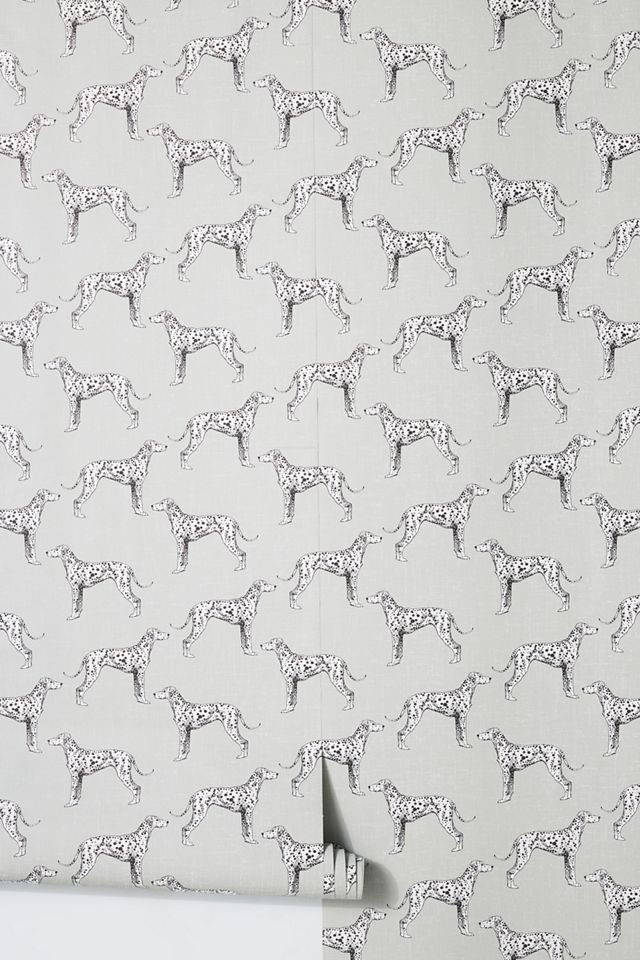Major Dog Wallpaper #1