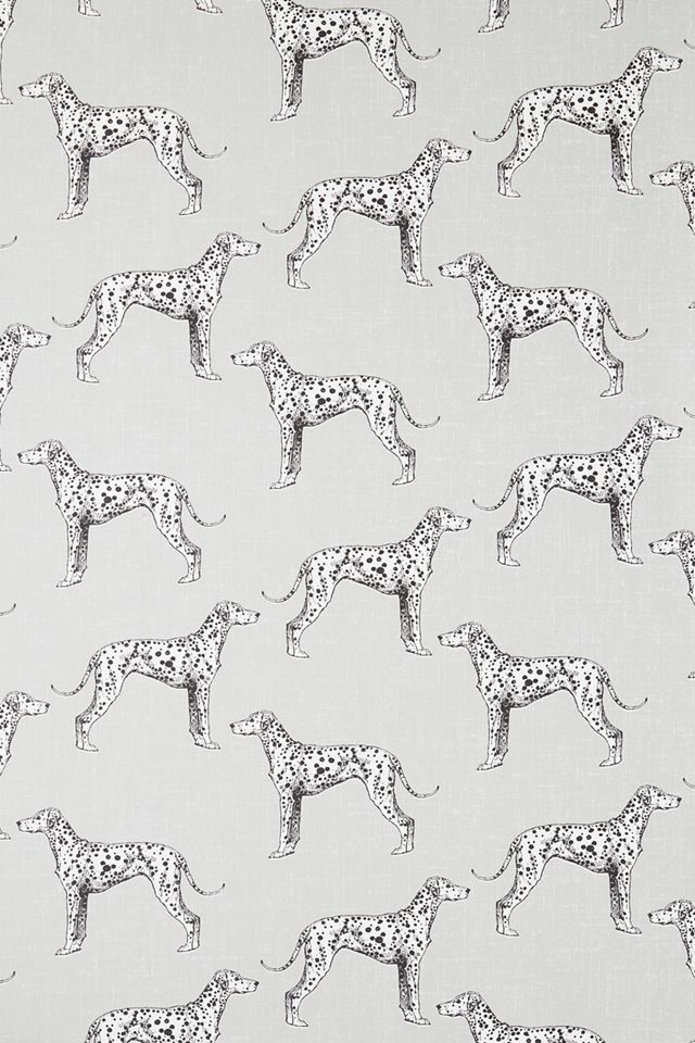 Major Dog Wallpaper #2