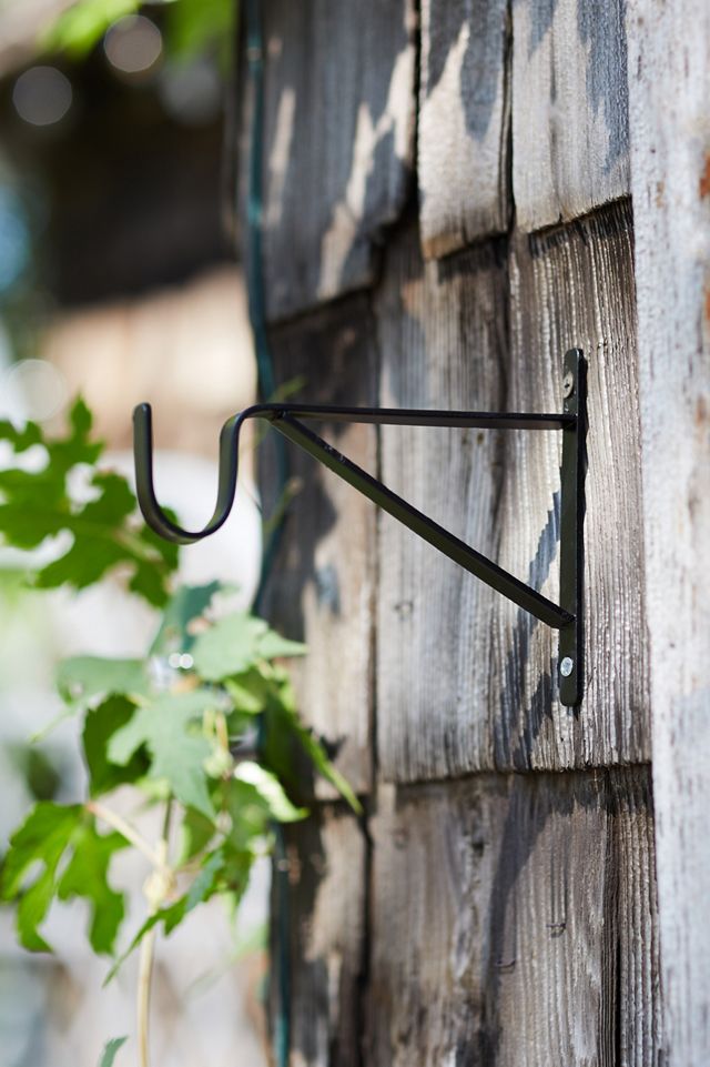 Iron Wall Plant Hanger #1