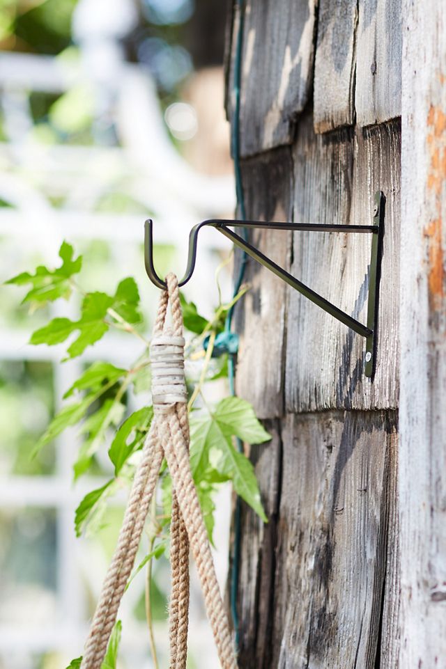 Iron Wall Plant Hanger #2