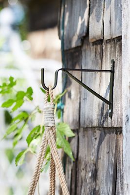 Iron Wall Plant Hanger
