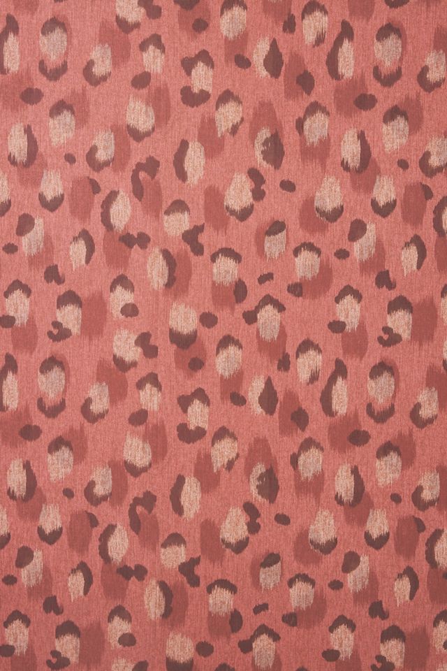 Javan Leopard Wallpaper #2