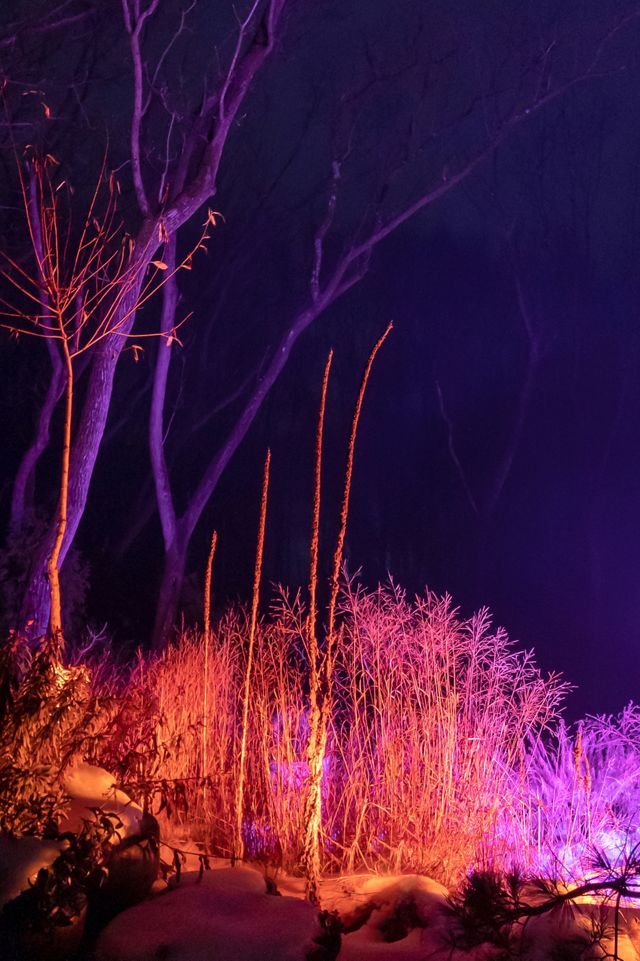 Color Changing Flood Lights, Set of 4 #5