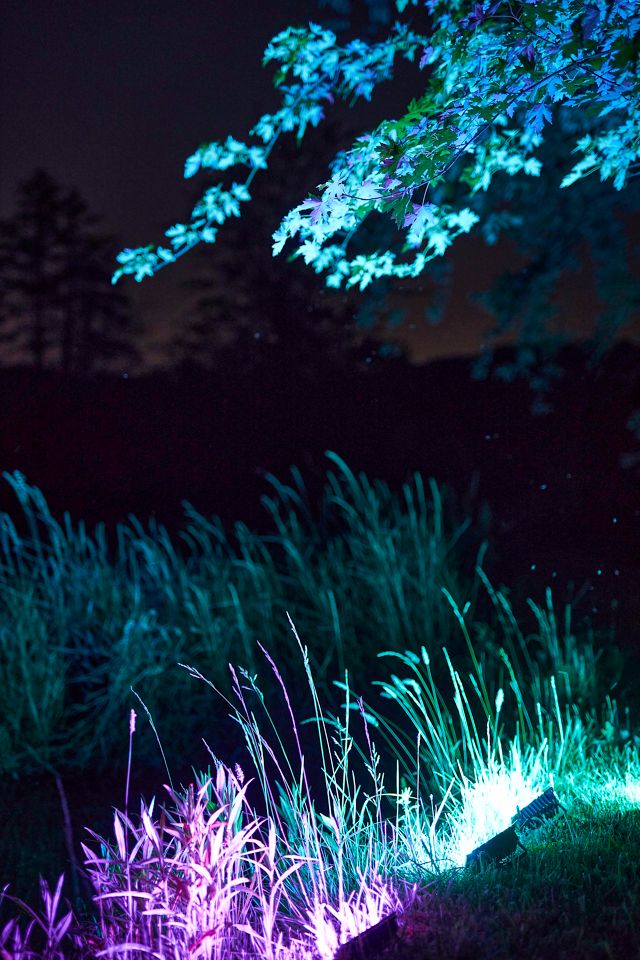 Color Changing Flood Lights, Set of 4 #6
