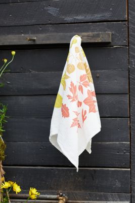 Seasonal Transitions Dish Towel