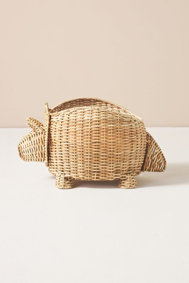 Kids Dinosaur Basket #1