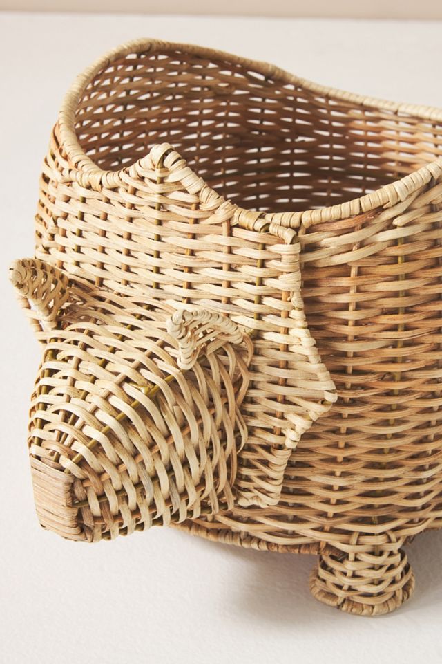 Kids Dinosaur Basket #2