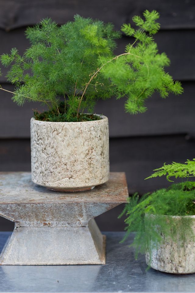 Distressed Zinc Riser | Terrain
