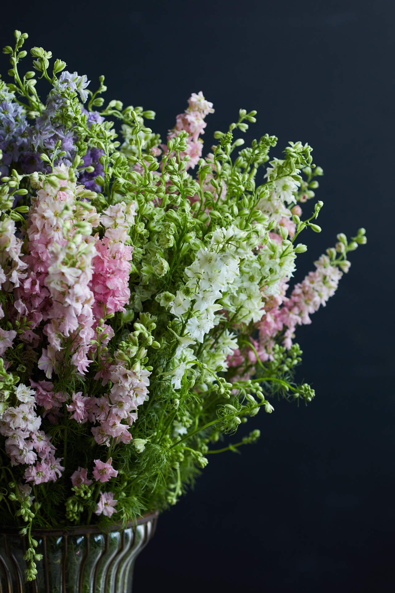 Fresh Larkspur Bunch