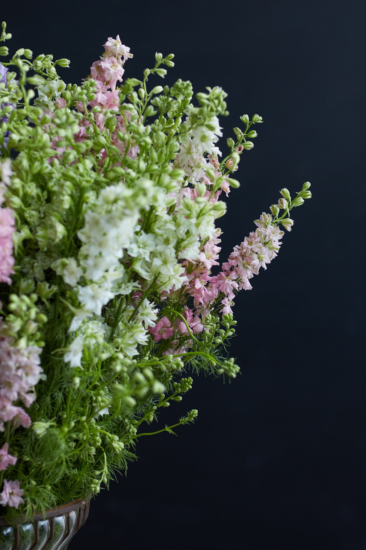 Fresh Larkspur Bunch