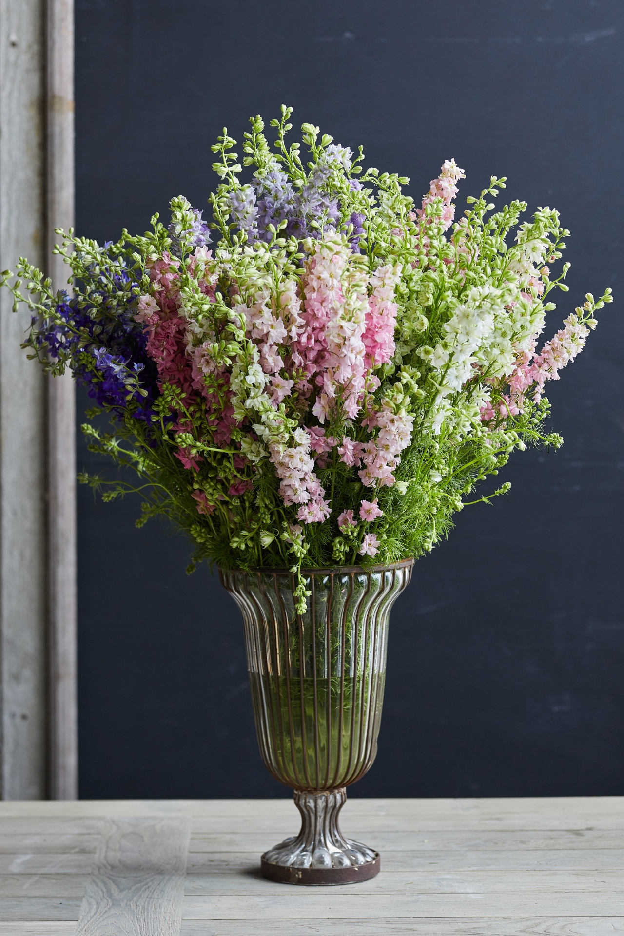 Fresh Larkspur Bunch