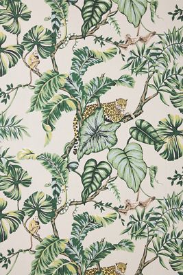 Jungle Animal Wallpaper