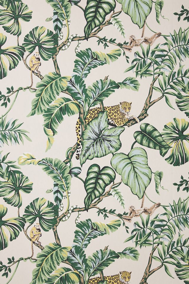 Jungle Animal Wallpaper #2