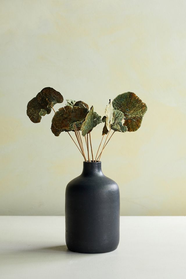 Preserved Sponge Mushroom Stem Bunch #1