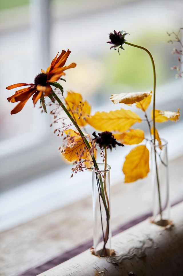 Bud Vases on Birch Log #1