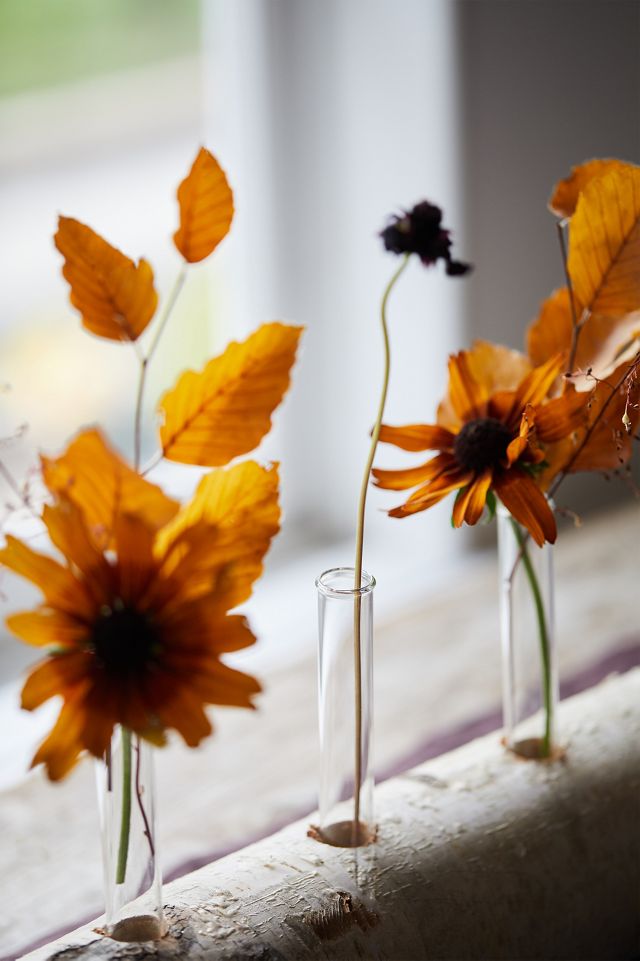 Bud Vases on Birch Log #2