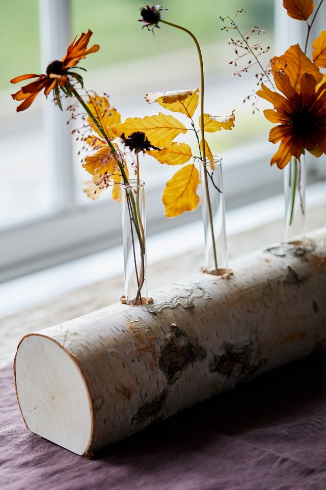 Bud Vases on Birch Log #3