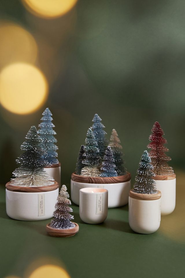Frosted Bottle Brush Tree Candle #3
