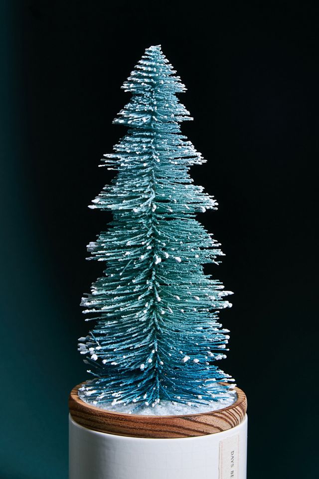 Frosted Bottle Brush Tree Candle | Anthropologie