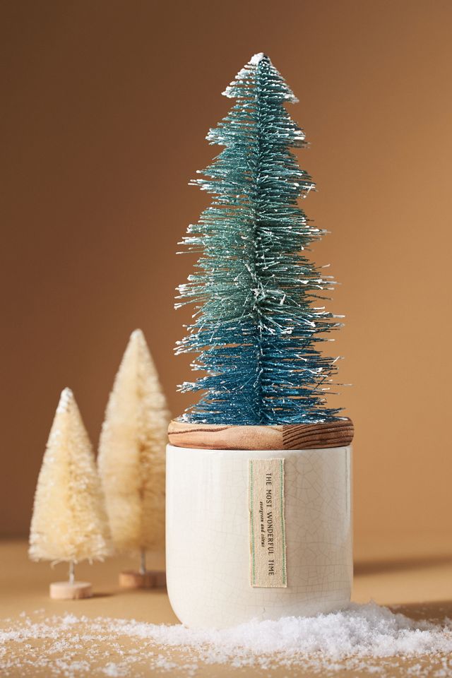 Frosted Bottle Brush Tree Candle | Anthropologie