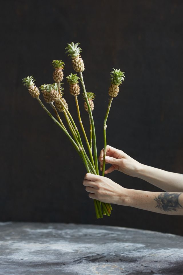 Fresh Baby Pineapple Bunch | AnthroHome