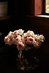 Fresh David Austin English Roses Bouquet #5